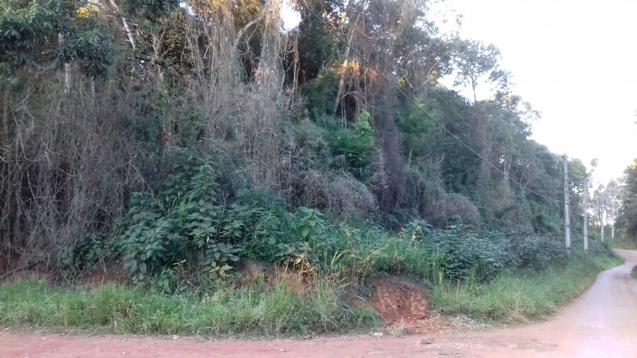 Foto - Ibiúna - Cocais